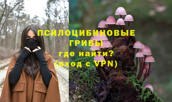 гашик Абинск