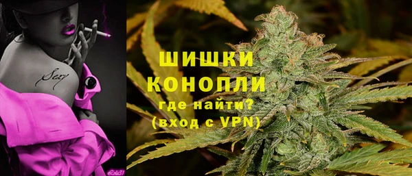 ешки Алзамай
