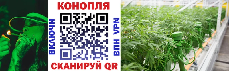 Бошки марихуана ГИДРОПОН нарко площадка клад Черногорск